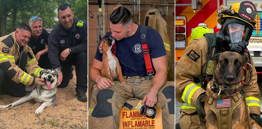 National Fire Pup Day