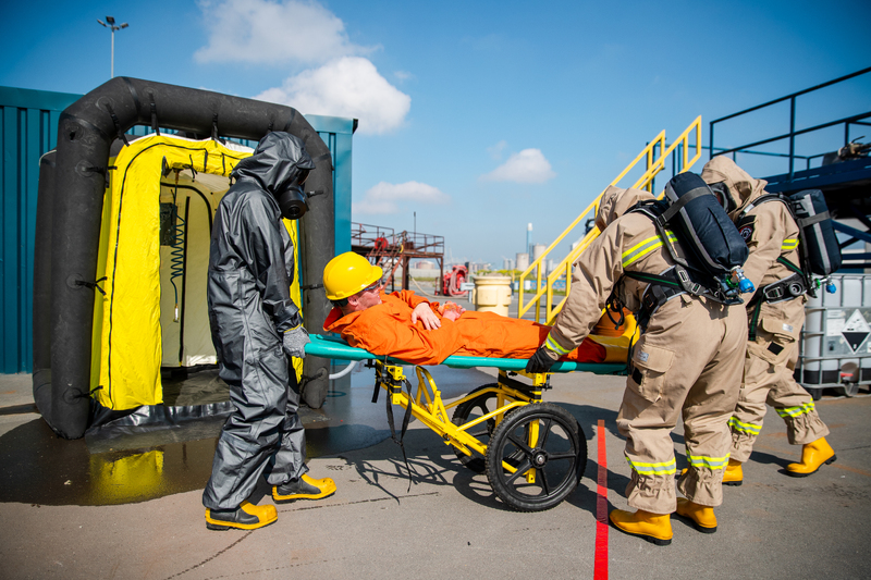 Lion 12.06 - Highres - Mats Palinckx-16-1